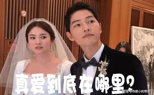 娱乐圈吃瓜事件团体,揭秘吃瓜团体背后的精彩故事