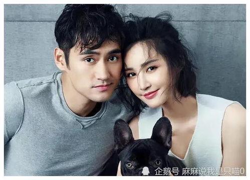 娱乐圈吃瓜小妹妹是谁,揭秘神秘网络红人的幕后故事