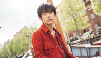 娱乐吃瓜君国内人气男团,国内人气男团背后的故事与魅力