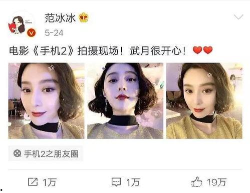 娱乐圈吃瓜崽